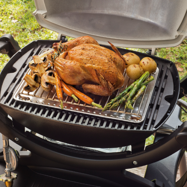 weber q grill plate